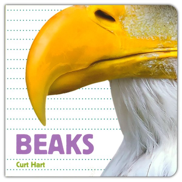 Whose Is It?: Beaks