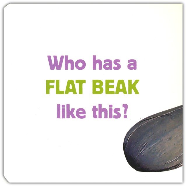 Whose Is It?: Beaks