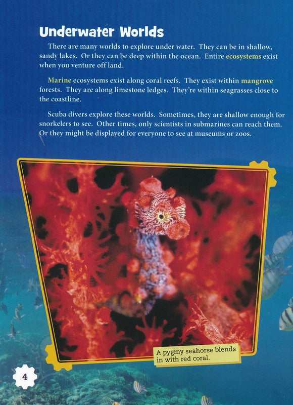 Smithsonian STEAM Readers: Making an Ocean Ecosystem