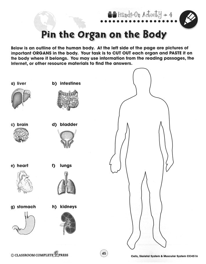 Cells, Skeletal & Muscular Systems Grades 5-8