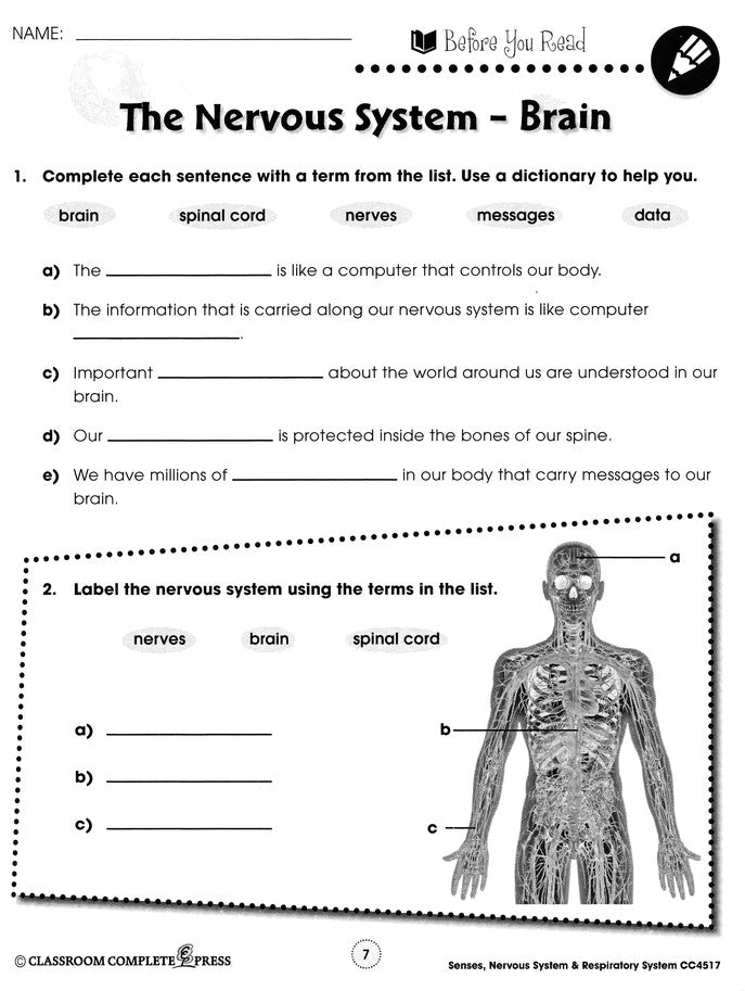 Senses, Nervous & Respiratory Systems Grades 5-8