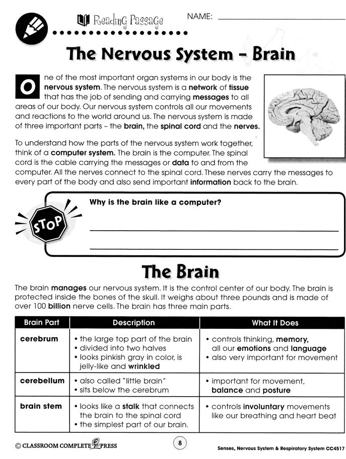 Senses, Nervous & Respiratory Systems Grades 5-8