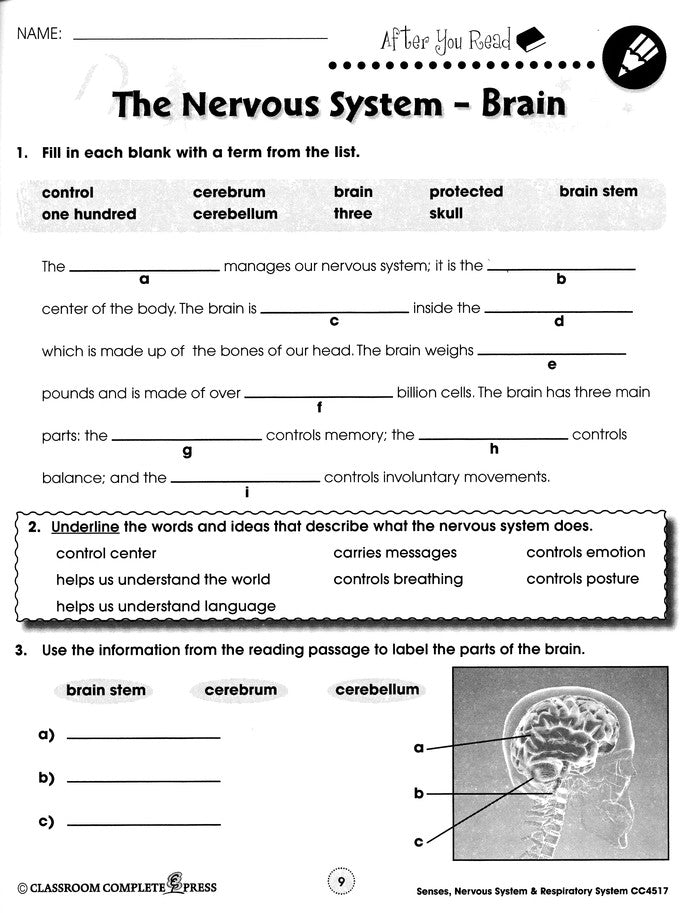 Senses, Nervous & Respiratory Systems Grades 5-8