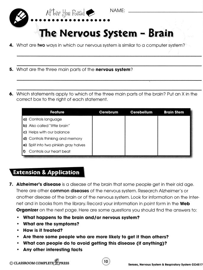 Senses, Nervous & Respiratory Systems Grades 5-8