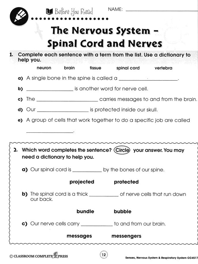 Senses, Nervous & Respiratory Systems Grades 5-8