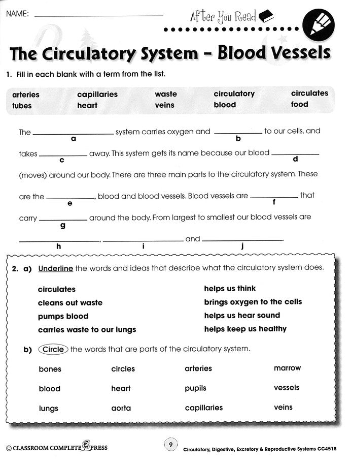 Circulatory, Digestive & Reproductive Systems Grades 5-8