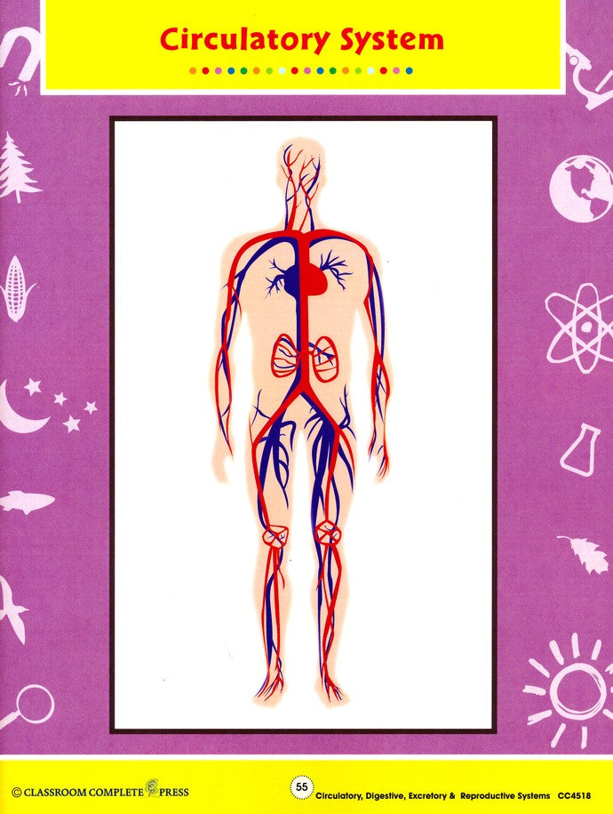 Circulatory, Digestive & Reproductive Systems Grades 5-8