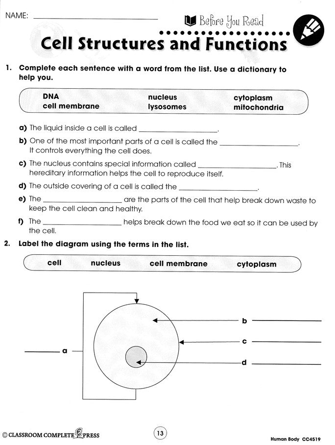 Human Body Big Book Grades 5-8