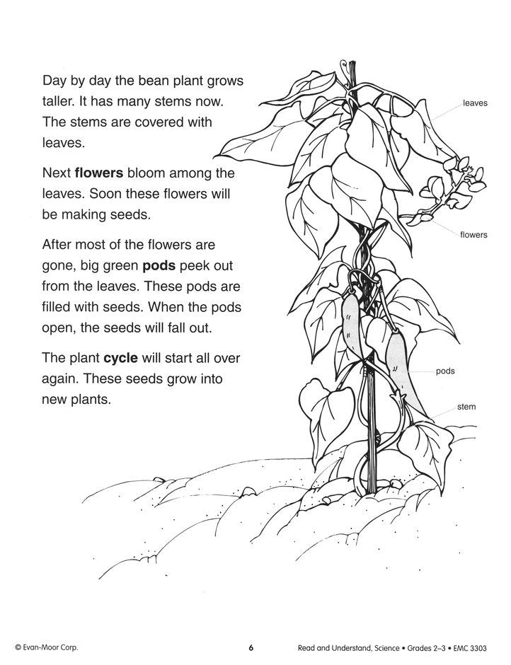 Read & Understand Science, Grades 2-3