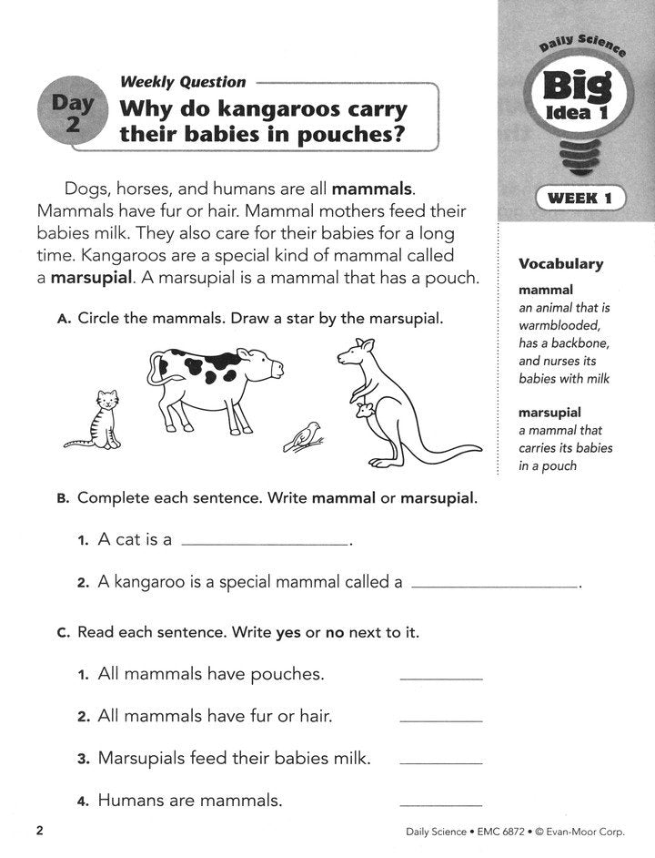 Daily Science, Grade 2 Student Workbook