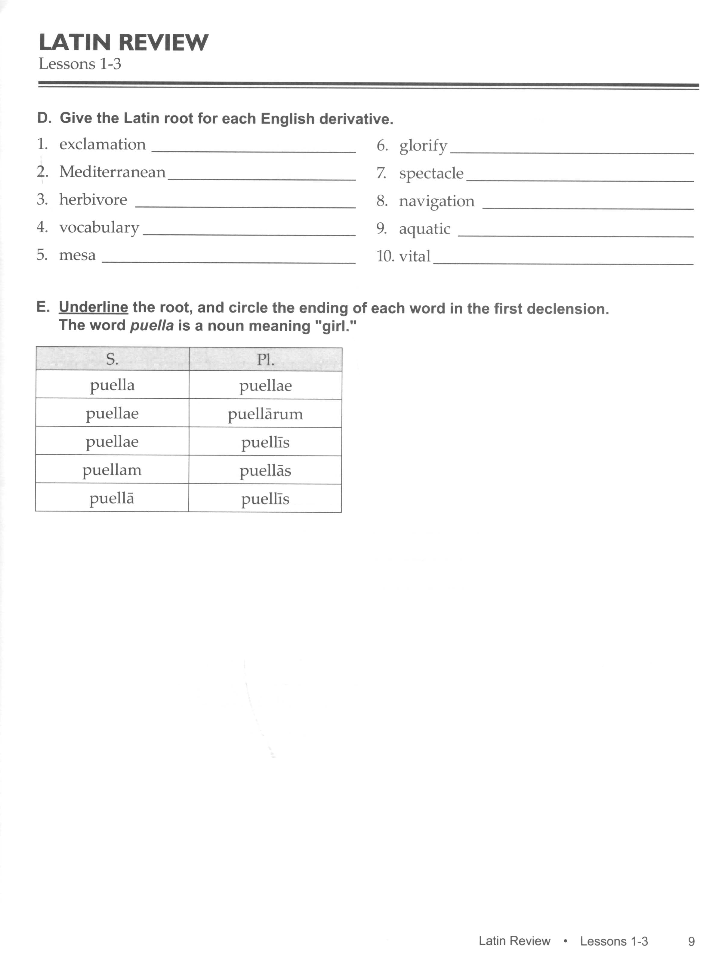 Grammar School Latin Review Worksheets (Charter Version)