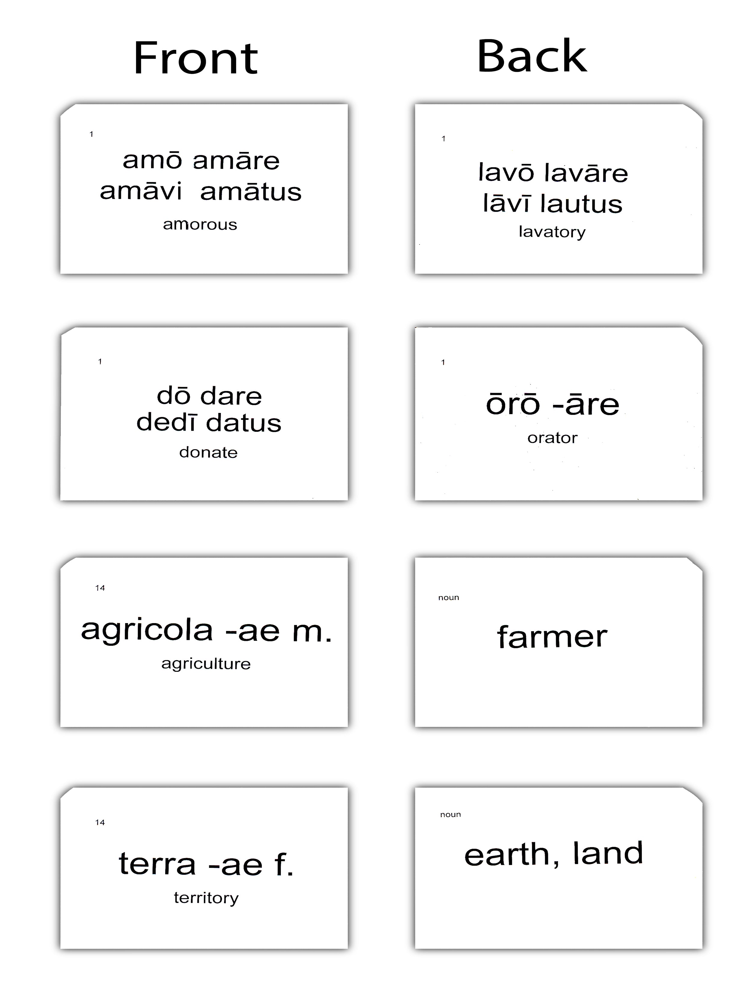 First Form Latin Flashcards (Charter Version)