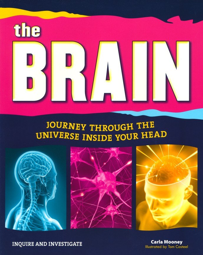 The Brain