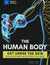 The Human Body