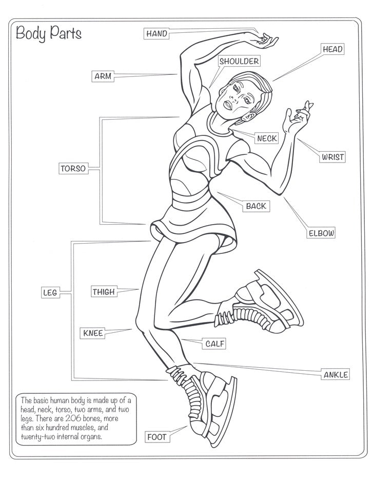 My Human Body Coloring Book