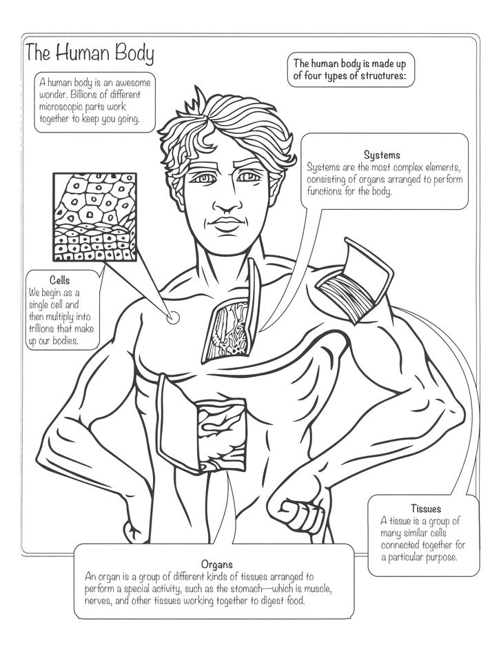 My Human Body Coloring Book