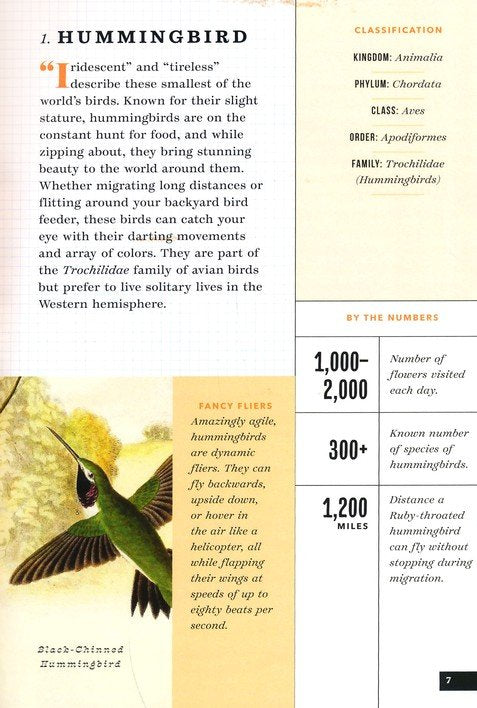 The Little Book of North American Birds: A Guide to North America's Feathered Friends