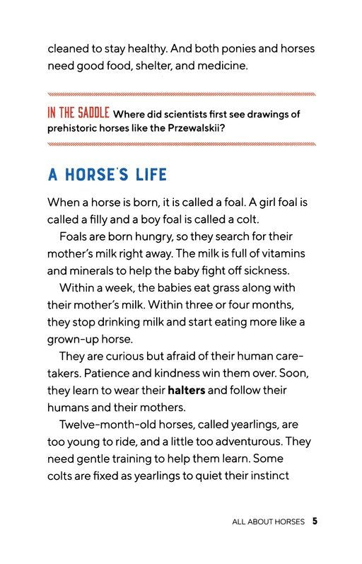 All About Horses (Hardcover): A Kid's Guide to Breeds, Care, Riding, and More!