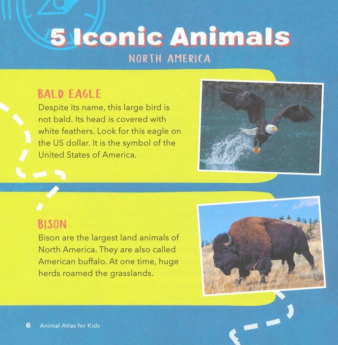 Animal Atlas for Kids (Hardcover): A Visual Journey of Wildlife from Around the World