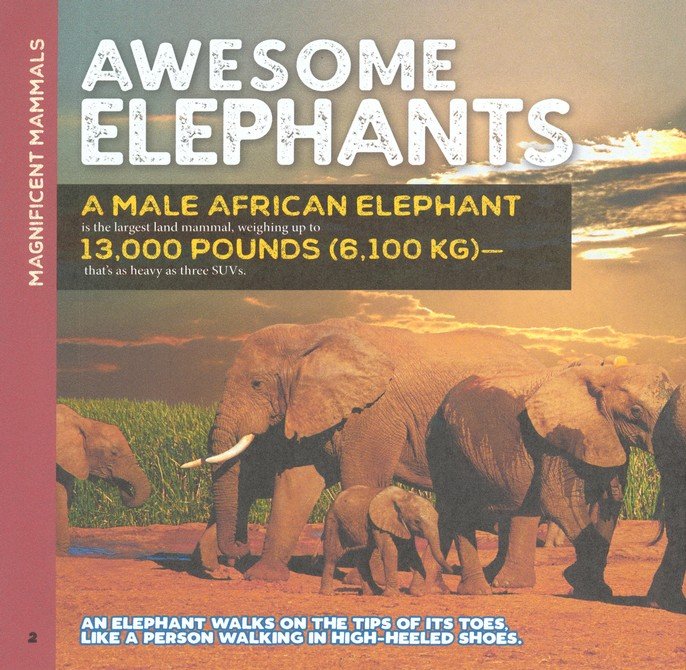 The Fascinating Animal Book for Kids: 500 Wild Facts!