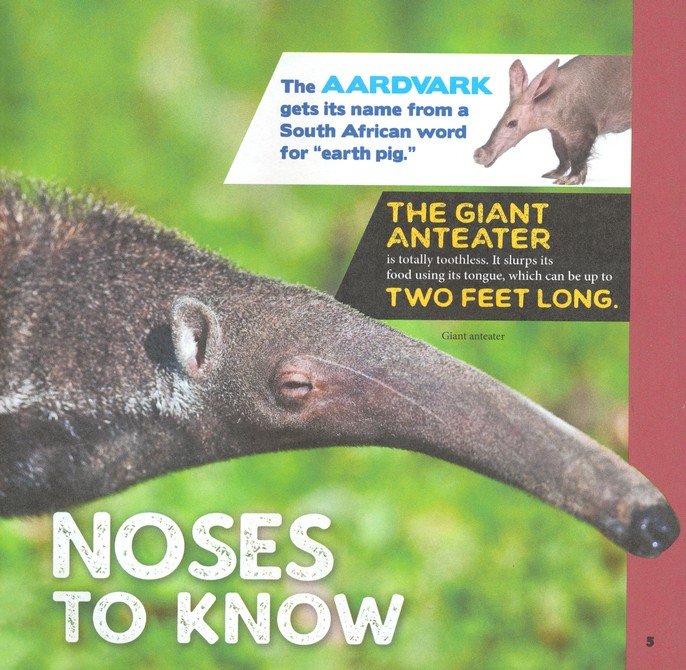 The Fascinating Animal Book for Kids: 500 Wild Facts!