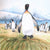 All About Penguins: Discover Life on Land and in the Sea