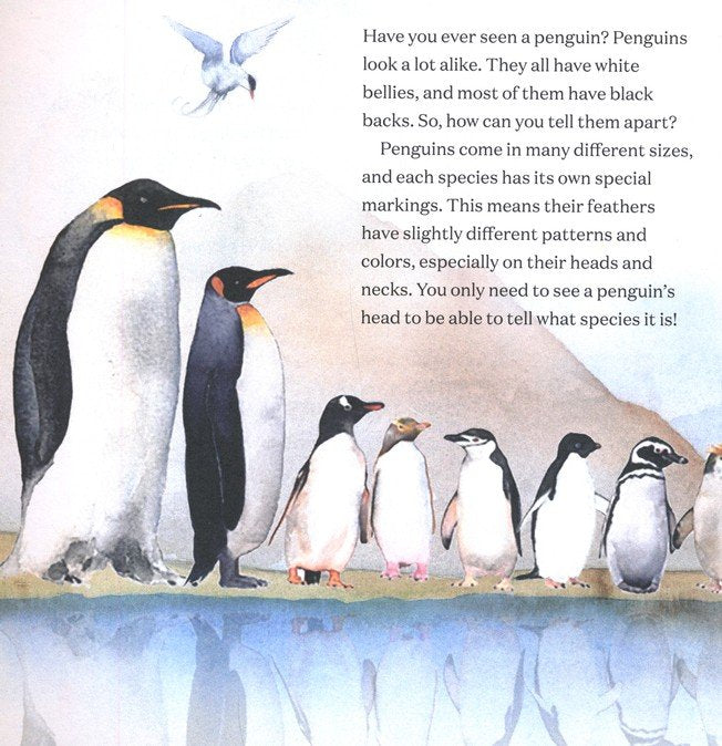 All About Penguins: Discover Life on Land and in the Sea