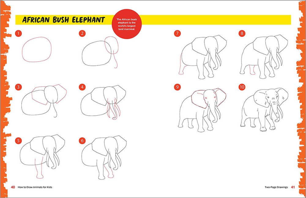 How to Draw Animals: A Step-by-Step Guide for Kids Ages 6-9