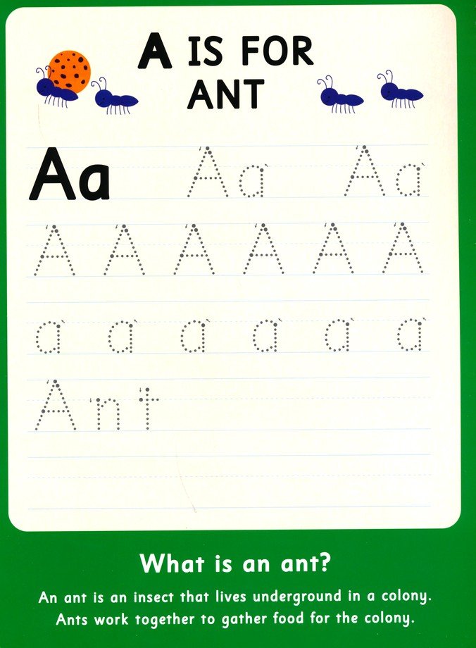 My First 100 Animal Words Write and Wipe