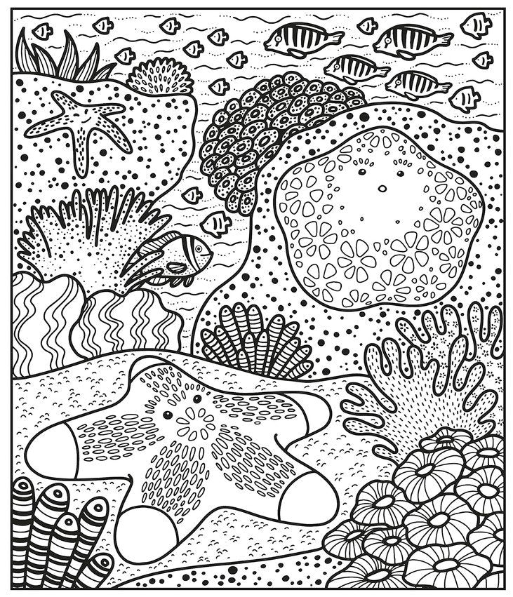 Coral Reef Magic Painting Book