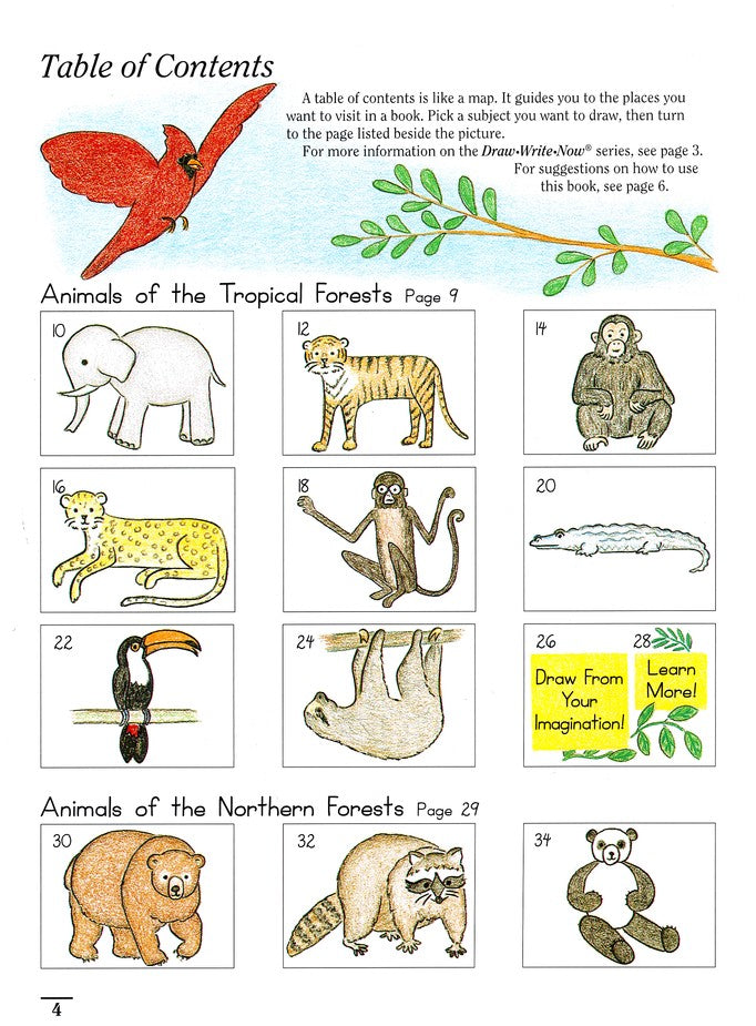 Draw Write Now, Book 7: Tropical Forests, Northern Forests,  Forests Down Under