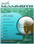 Math Mammoth Grade 4 Skills Review Workbook