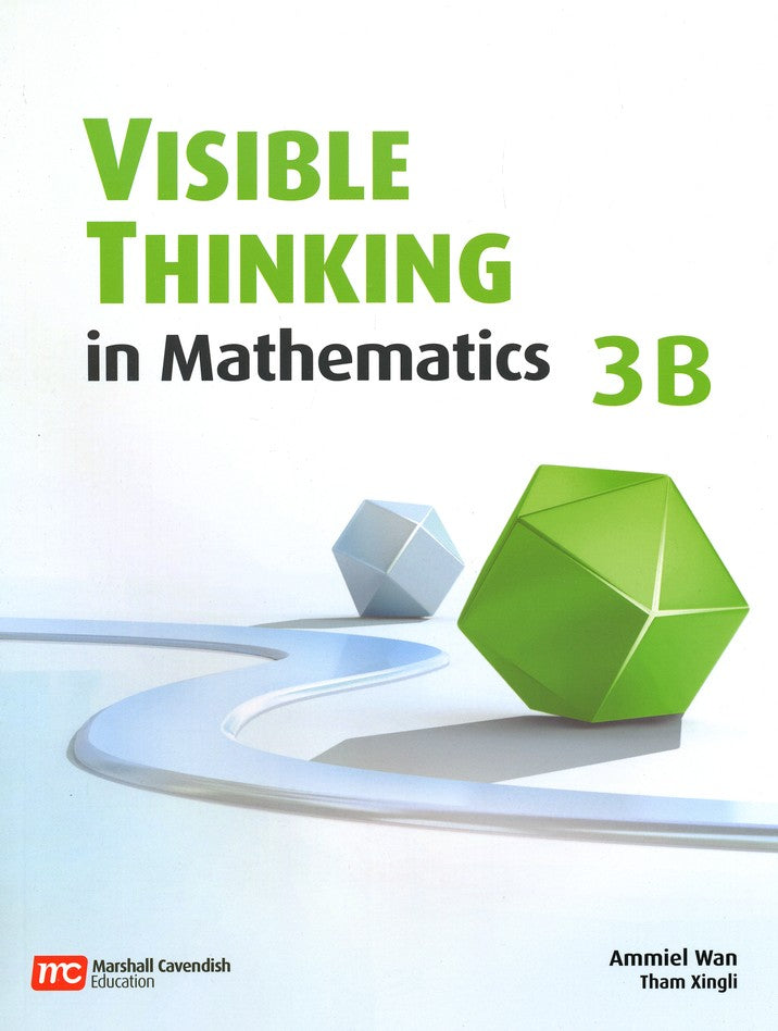 Visible Thinking in Mathematics 3B