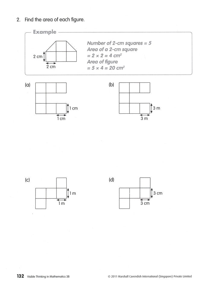 Visible Thinking in Mathematics 3B