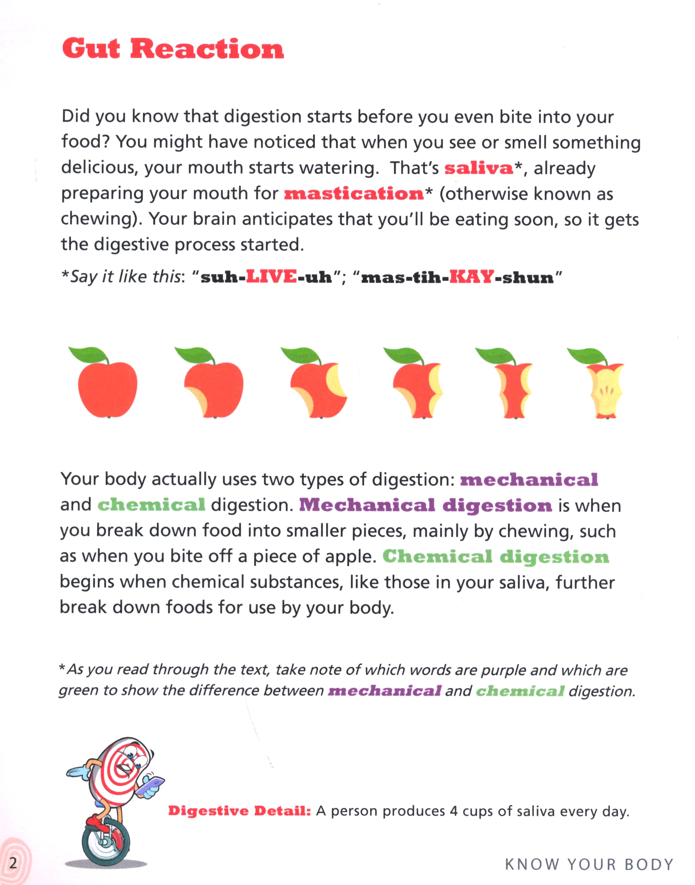 Renal System: Know Your Body