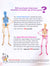 Renal System: Know Your Body