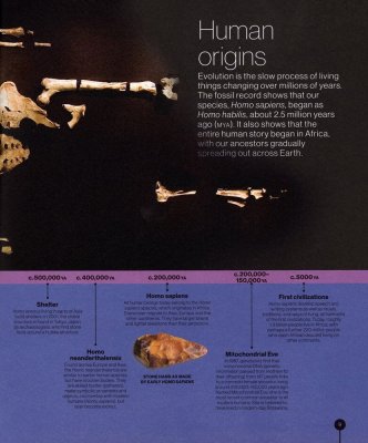 Timelines from Black History