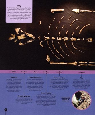 Timelines from Black History